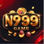 N999 Game
