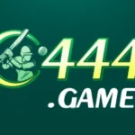 C444 Game