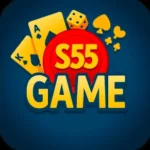 s55 game